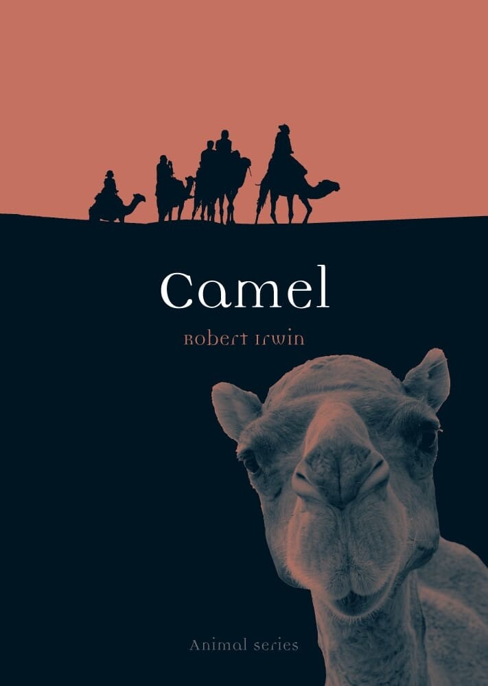 Camel (Paperback)