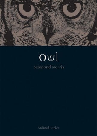 Owl (Ebook)