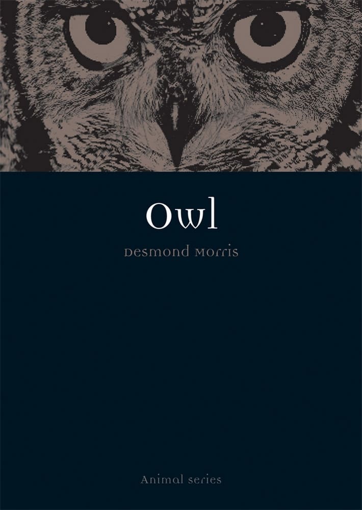 Owl (Ebook)