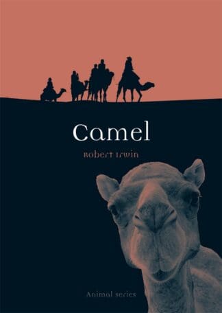 Camel (Ebook)