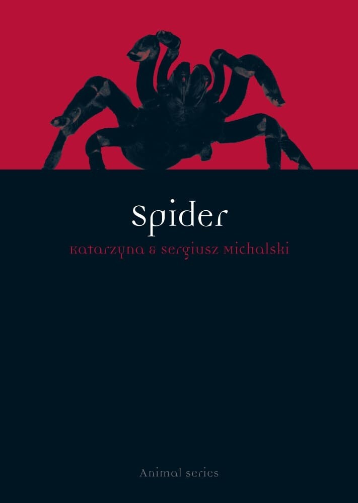 Spider (Paperback)