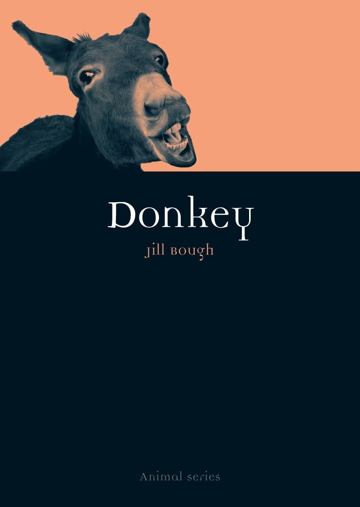 Donkey (Paperback)