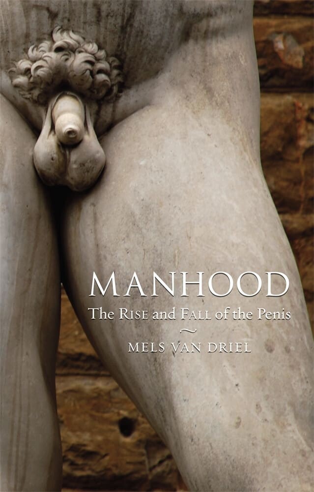 Manhood (Paperback)