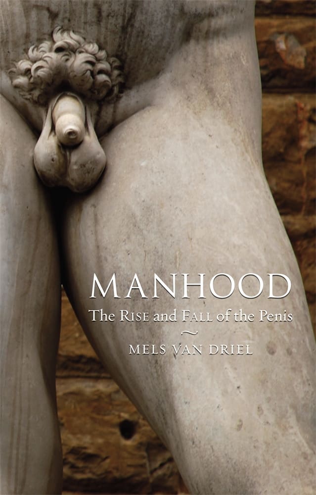 Manhood (Paperback)