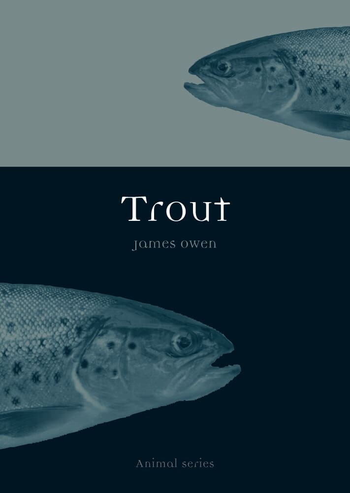 Trout (Paperback)