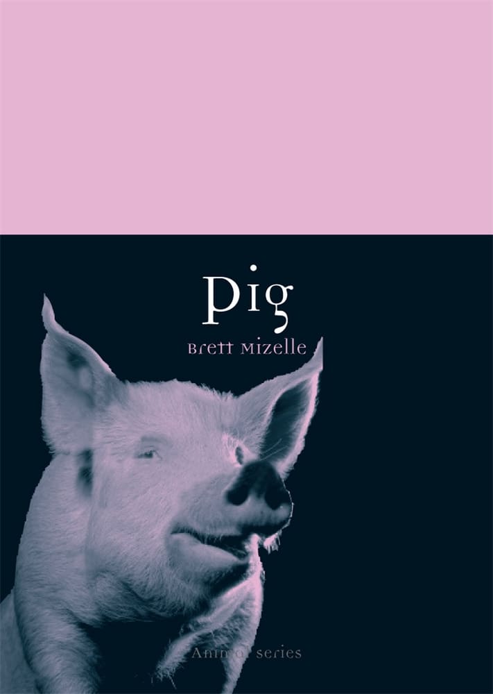 Pig (Ebook)