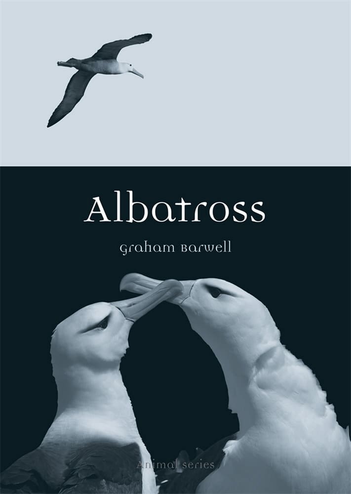 Albatross (Ebook)