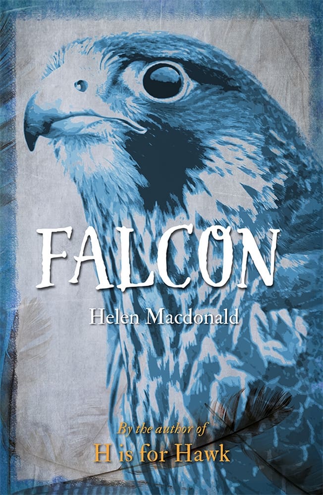 Falcon (Ebook)