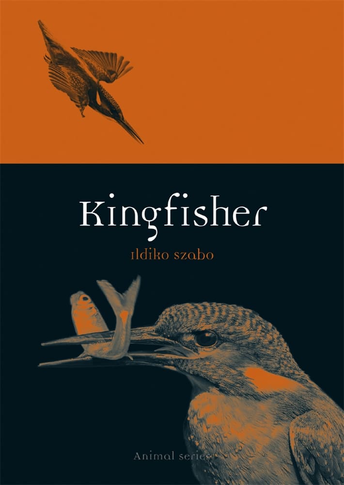 Kingfisher (Ebook)