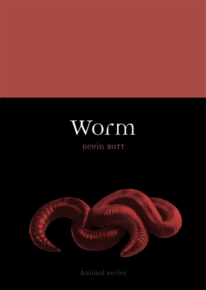 Worm (Ebook)