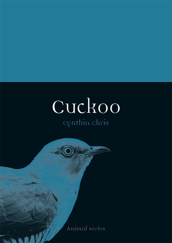Cuckoo (Ebook)