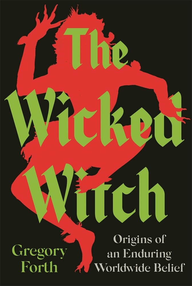 The Wicked Witch (Hardback)