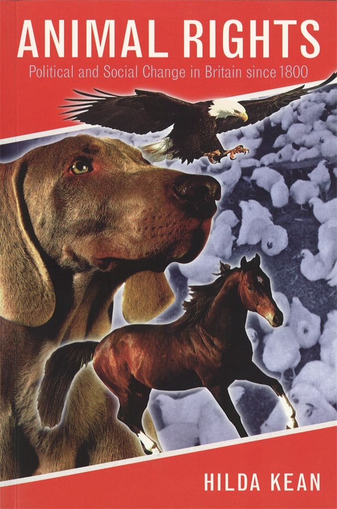 Animal Rights (Paperback)
