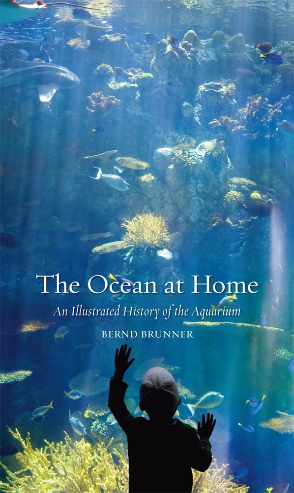 The Ocean at Home (Paperback)