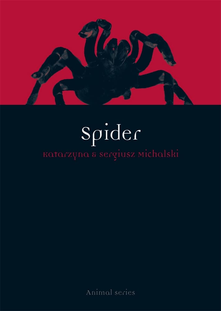 Spider (Ebook)