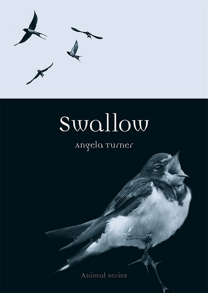 Swallow (Ebook)