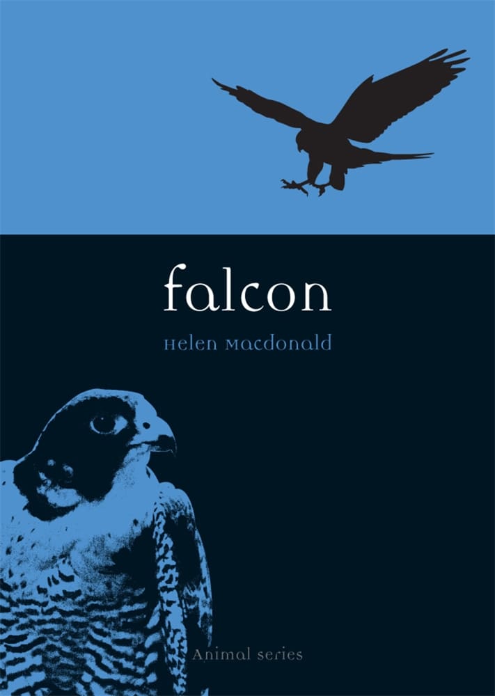 Falcon (Ebook)